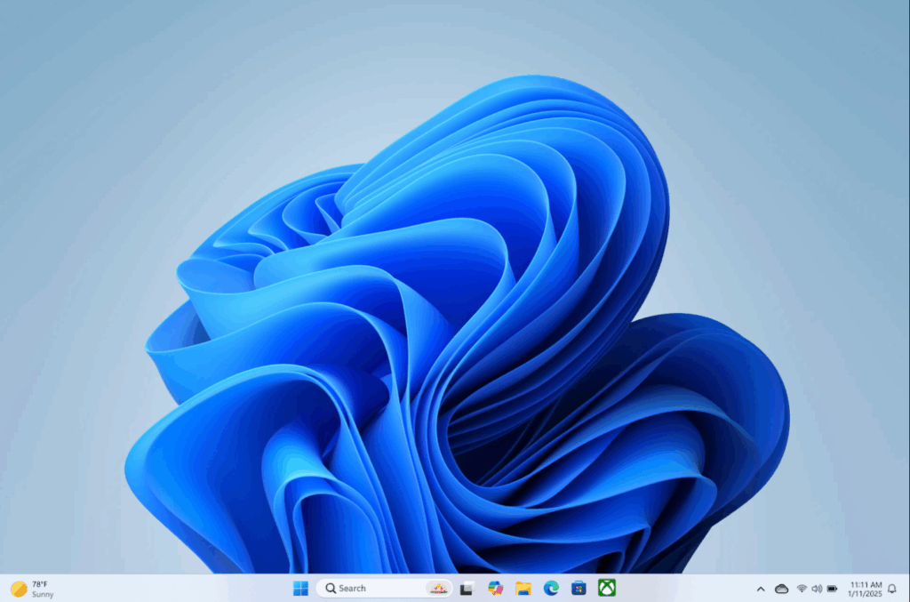 Windows 11 Pro desktop interface