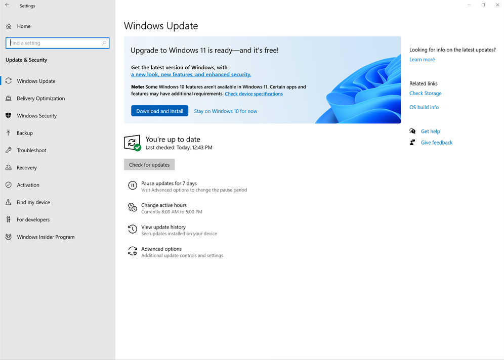 Windows 10 to Windows 11 upgrade process