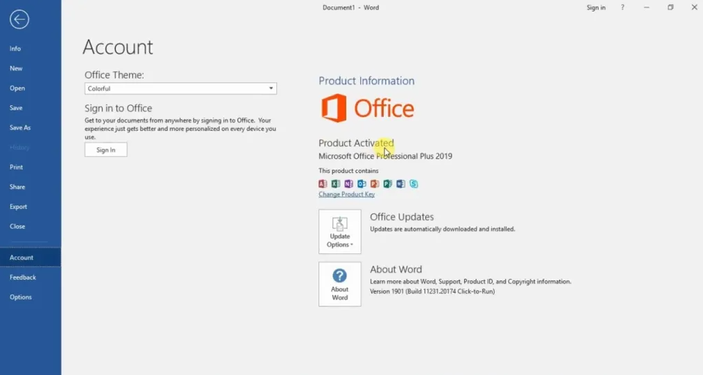 Office 2019 - Activated