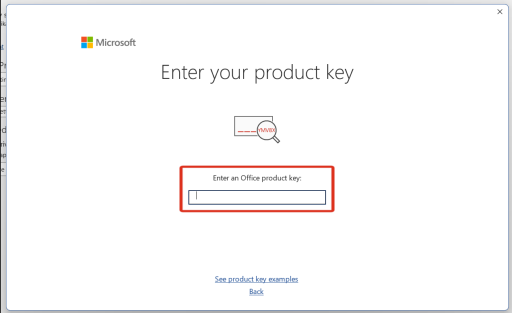 Office 2019 Activation